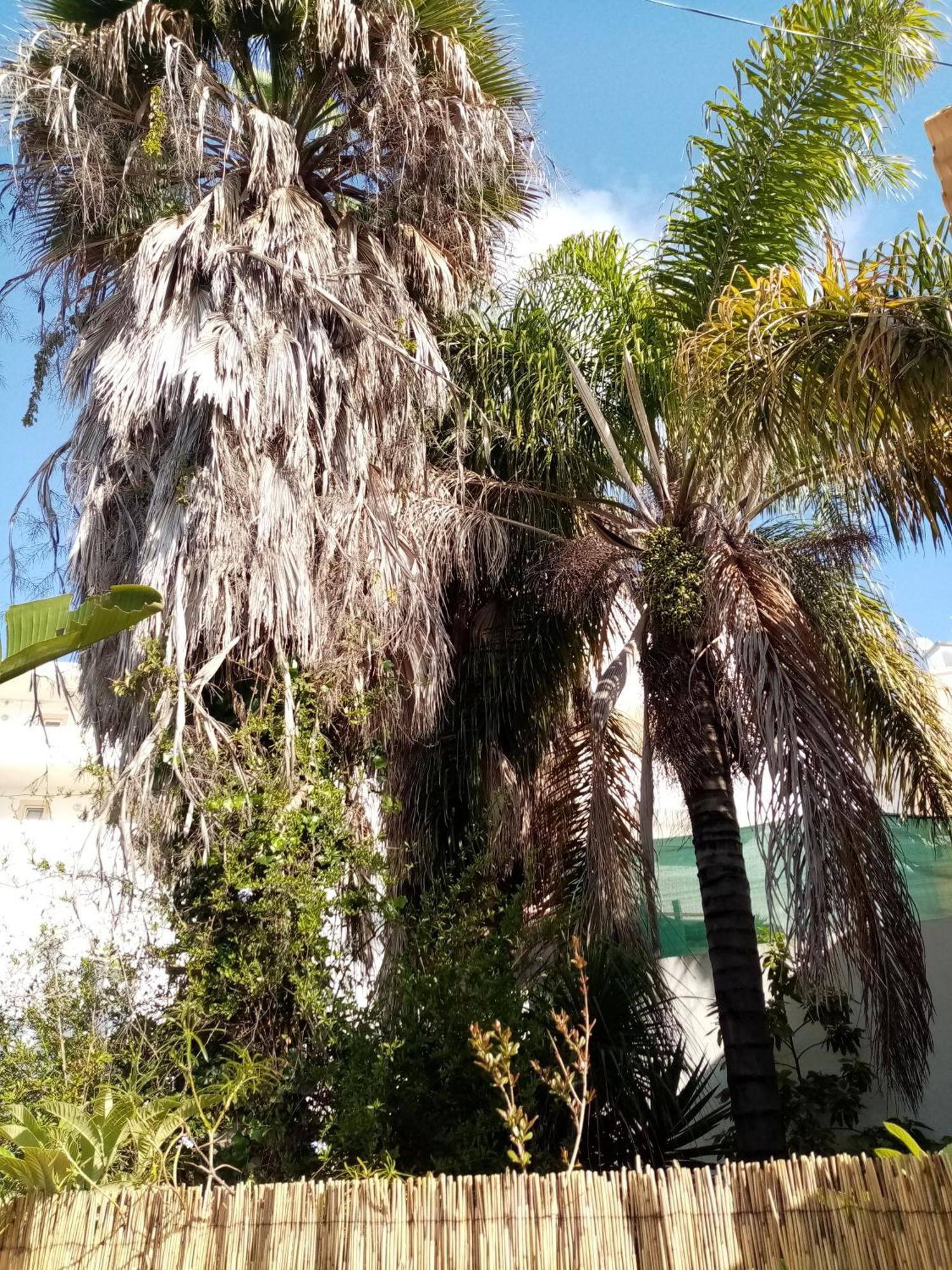 Vila Casa Rustica Olhão Exteriér fotografie